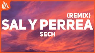 Sech - Sal y Perrea Remix (Letra)