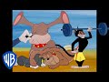 Tom y Jerry en Latino | Gatos vs. perros |  @WBKidsLatino