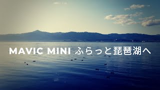 【ドローン空撮/mavic mini】滋賀県 草津市 烏丸半島