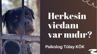 Herkesin vicdanı var mıdır? #vicdan