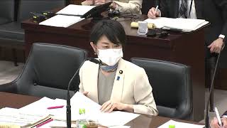 20210421 地方創生及び消費者問題に関する特別委員会