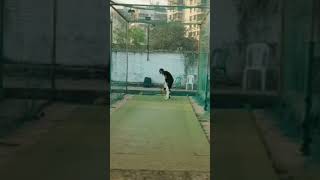 Unbelievable Cricket Shot Goes Over the Bowler! #ytshorts
