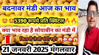 बदनावर मंडी सोयाबीन भाव | January 21, 2025 |Today Soyabean Price | badnawar mandi bhav | mandi bhav