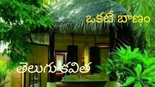 తెలుగు కవిత | ఒకటే బాణం | One Opportunity