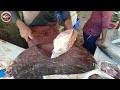 கண்ணாடி பாறை மீன் வெட்டும் முறை exquisite diamond trevally fish cutting technique revealed