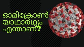 ഓമിക്രോൺ യാഥാർഥ്യം എന്താണ്? Omicron/ malayalam/Life Touch