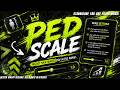 PED SCALE | FIVEM SCRIPT | SWERV DESIGNS