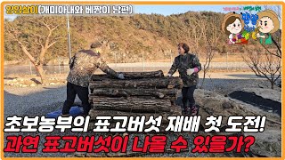 초보 농부의 시골살이 첫 표고버섯 재배 도전! 과연 표고버섯이 나올 수 있을런지...