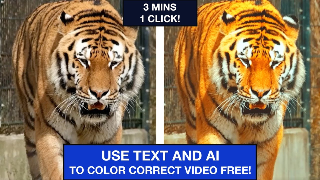 1 CLICK Video Color Correction (Using Text)! - FREE AI Tool - YouTube