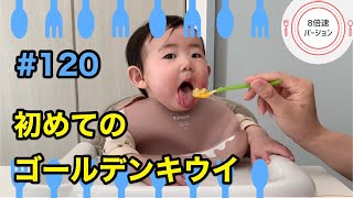 Enjoy離乳食【#0120●8倍速】初めてのゴールデンキウイ！9-month-old baby eats golden kiwi for the first time!