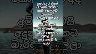 සබ්ස්ක්‍රයිබ් කරගෙනම යමු නේද#viralshart#trending 🙂🙂