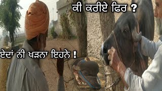 Punjabi vlog #2.  ਅੱਜ ਬਾਈ ਨੇ ਝੋਟੇ ਨੂੰ ਪਵਾਈ ਨੱਥ ।  All Update Vlogs .