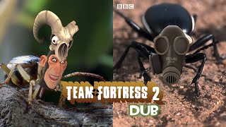 TF2 Dub: The Attack of Phlogpister and Bombardsmus #bugs