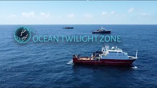 Three ships, one ocean twilight zone
