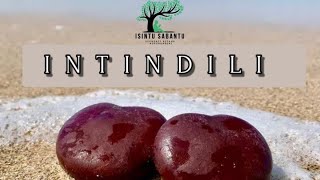 INTINDILI or Sea bean