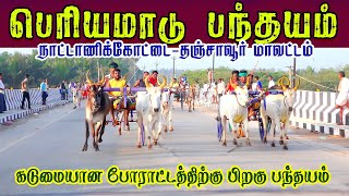 1நாட்டாணிக்கோட்டை(வ)15,001_அயிரம்-பெரியபந்தயம்_23,02,2025