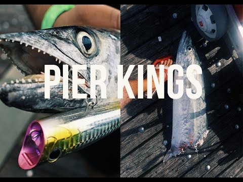 Fishing for King Mackerel - Beach Pier Fishing Fishing for King Mackerel - Beach Pier Fishing