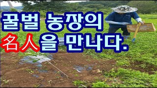 꿀벌 농장 명인을 만나다.meet a bee farm master.