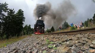 Unterwegs entlang der Brockenbahn / Aufnahmen aus dem Gleis / Wernigerode - Brocken