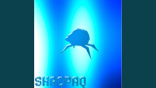 shaqpaq (feat. dododowson)