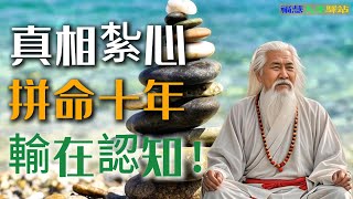 真相紮心：拼命十年，輸在認知！#修行 #智慧人生 #人生感悟