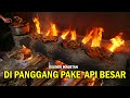 SEHARI RATUSAN  TERJUAL AYAM PANGGANG BU SETU   - KULINER LEGENDARIS MAGETAN SEJAK TAHUN 1990