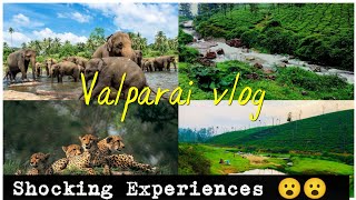 Valparai | வால்பாறை the 7th heaven | Put Pickle travel vlog