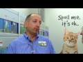 pet supplies plus