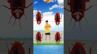 Lizard, scorpion \u0026 cockroach insects vs tasy food game with tu Radha meri song Funny vfx magic 😂