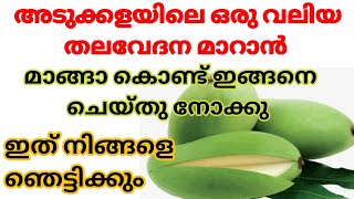 പച്ചമാങ്ങാ കൊണ്ട് നമ്മുടെ അടുക്കളയിലെ ഏറ്റവും വലിയ ജോലി ഈസി അയി ചെയ്യാം