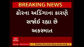 AMRELI NEWS | અમરેલીમાં રખડતા શ્વાન બાદ રખડતા ઢોરનો આતંક આમે આવ્યો