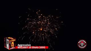 Aggression RA22007 Raccoon Fireworks 2021 New Product 25 Shots