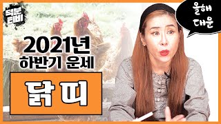 2021년 신축년 하반기 운세🐓닭띠│신축년 대운 닭띠! 인간 구설수에 휘말려든다? 하반기에 이동수가 들어오니 놓치지 마라