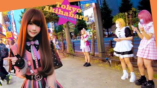 Akihabara🐶Tokyo Digest♪💖Nonstop 1 hour 4K