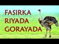 Riyada gorayada qofkii arko gorayo ama goray riyada noocaas maxaa lagu fasiraa