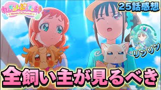 【わんだふるぷりきゅあ】わんぷり26話感想「プリキュアでも暑いものは暑い」