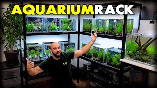 MAKING a *NEW* AQUARIUM RACK for NANO FISH & SHRIMP | MD Fish Tanks