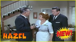 🅽🅴🆆 Hazel [2025] 🍓 The Perfect Boss 🍓 A Little Bit of Genius 🍓 Hazel 1961–1966