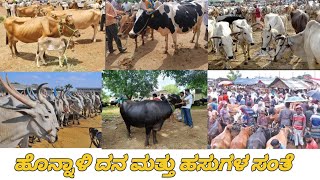 Hannali cow and Buffalo market update / ಹೊನ್ನಾಳಿ ದನ ಮತ್ತು ಹಸುಗಳ ಸಂತೆಮಾರುಕಟ್ಟೆ / karnataka India