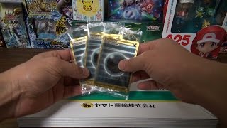 【GBC】POKEMON CARD ポケモンカードゲームXY BREAK ゴールデンプレゼントキャンペーン追加開封