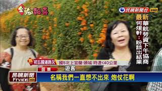 炮仗花開迎富貴 苗栗銅鑼鄉美不勝收－民視新聞