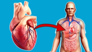 THIS is what happens to your HEART when you exercise EVERY DAY 💥 (UNBELIEVABLE) 🤯