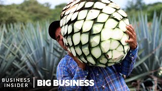 Mezcal Is The Fastest-Growing Liquor In The US. Why Aren