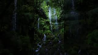beautiful waterfall / natural whatsApp status.......