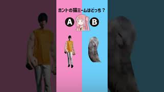 猫ミームクイズ左右どっち？part140【琴葉茜/琴葉葵】#shorts #猫ミーム