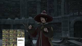 【FF14 Ver6.18】城塞攻略 ストーンヴィジル 占星術師Lv41視点