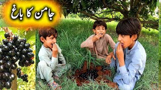 Jaman Ka Bagh Aur Faheem Ki Pehli Video