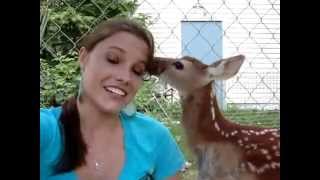 Deer kisses