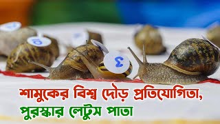 শামুকের বিশ্ব দৌড় প্রতিযোগিতা, পুরস্কার ছিল লেটুস পাতা | দেশবন্ধু টিভি | DeshbandhuTV