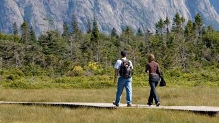 'Sparks in the Park': Parks Canada plays matchmaker